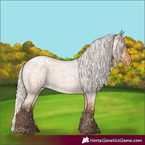 Horse Color:Silver Bay Roan Dun Appaloosa Rabicano 