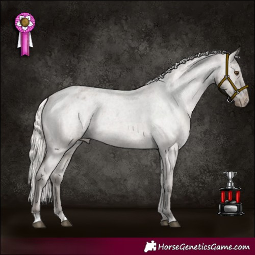 Horse Color:Silver Grullo Roan Varnish Rabicano 