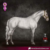 Horse Color:Silver Grullo Roan Appaloosa Rabicano 