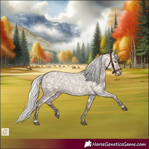 Horse Color:Silver Grullo Roan Appaloosa Rabicano 