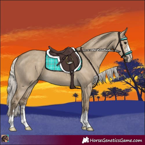 Horse Color:Silver Smoky Grullo 