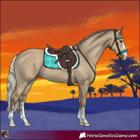 Horse Color:Silver Smoky Grullo 