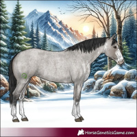 Horse Color:White Spotted Grullo Roan Rabicano