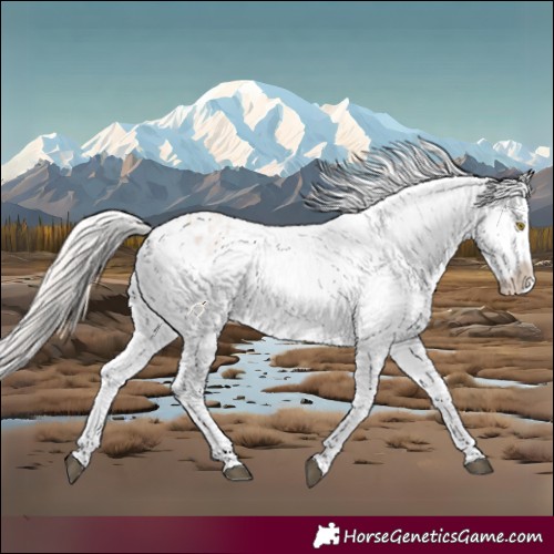 Horse Color:Silver Bay Roan Dun Snowflake Varnish Rabicano 