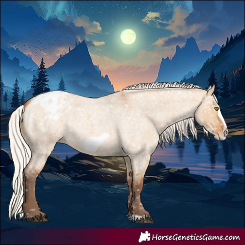 Horse Color:Silver Bay Roan Dun Frame Snowflake Varnish Rabicano 