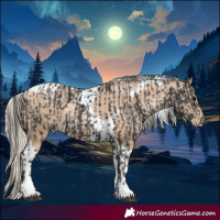 Horse Color:Black Tobiano  and Chocolate Palomino Pearl Tobiano 