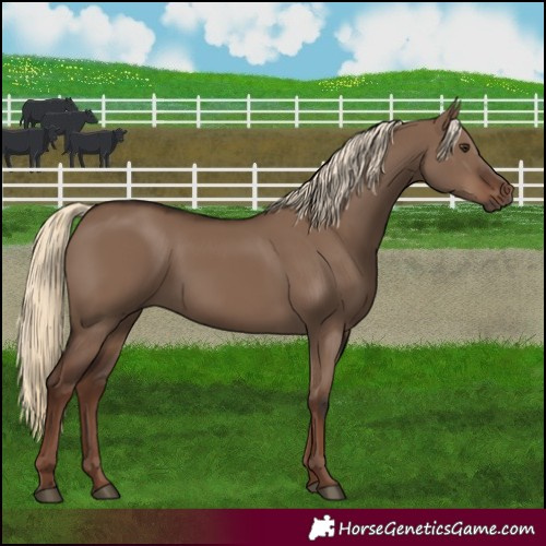 Horse Color:Liver Red Dun 