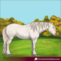 Horse Color:Perlino Roan 