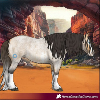 Horse Color:Buckskin Roan Sabino Splash 