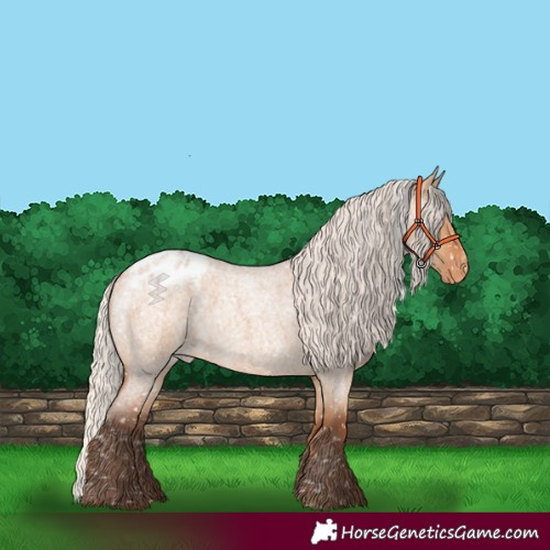 Horse Color:Silver Bay Roan Dun Blanket Rabicano 