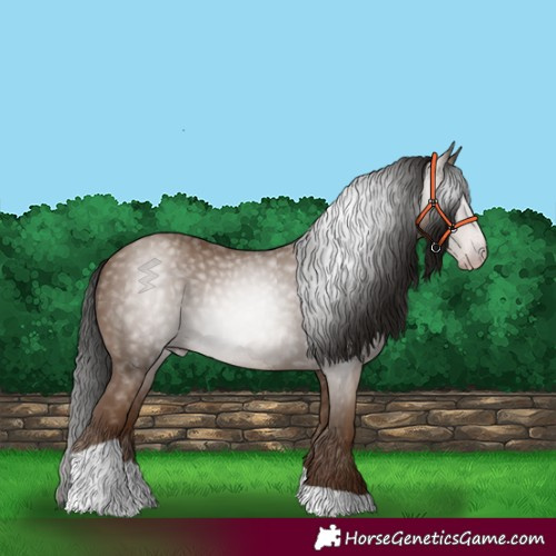 Horse Color:Gray Classic Champagne Tobiano 