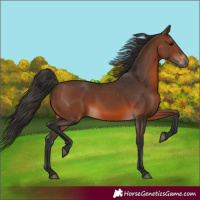 Horse Color:Brown 