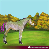 Horse Color:Void Painted Watercolor Bay Ice Onyx Tobiano 
