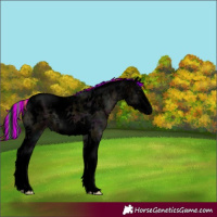 Horse Color:Void Painted Midnight Brown Ice Onyx Tobiano 