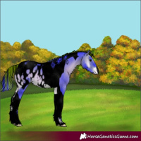 Horse Color:Void Painted Watercolor Brown Onyx Tobiano Appaloosa 