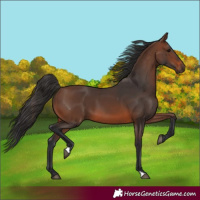 Horse Color:Brown 