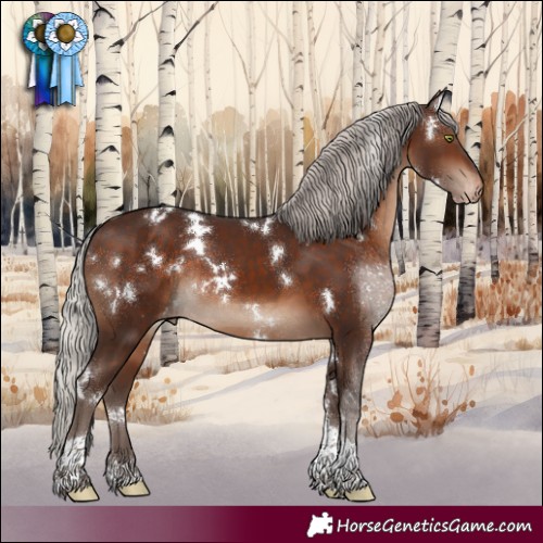 Horse Color:White Spotted Silver Brown Tobiano Appaloosa 