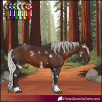 Horse Color:White Spotted Silver Brown Tobiano 