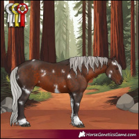 Horse Color:White Spotted Silver Brown Tobiano