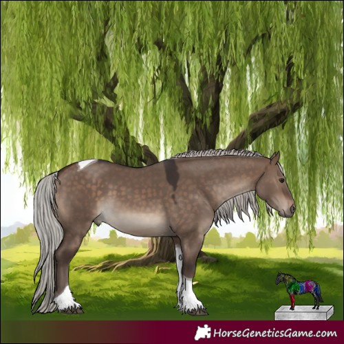 Horse Color:Silver Brown Dun Tobiano 