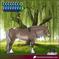 Horse Color:Silver Brown Dun Tobiano 