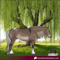Horse Color:Silver Brown Dun Tobiano 