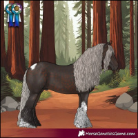 Horse Color:Silver Brown Tobiano Rabicano