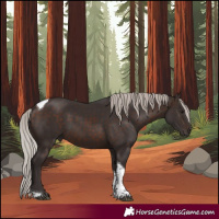 Horse Color:Silver Brown Tobiano Rabicano