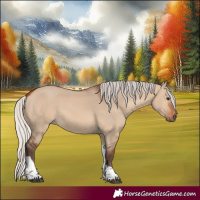 Horse Color:Silver Brown Dun Tobiano 