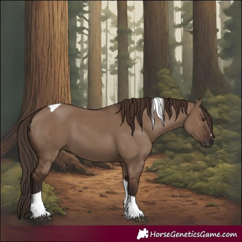Horse Color:Liver Red Dun Tobiano 