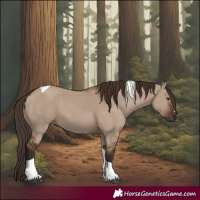 Horse Color:Liver Red Dun Tobiano