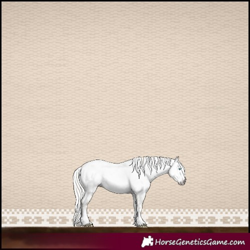 Horse Color:Gray White Spotted Silver Amber Cream Champagne Pearl Dun Splash Frame Appaloosa Rabicano 