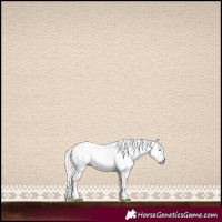 Horse Color:Gray White Spotted Silver Amber Cream Champagne Pearl Dun Splash Frame Appaloosa Rabicano