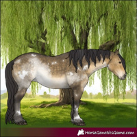 Horse Color:White Spotted Buckskin Dun Rabicano