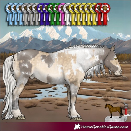 Horse Color:White Spotted Grullo  and White Spotted Silver Buckskin Pearl Rabicano 
