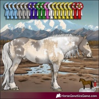 Horse Color:White Spotted Grullo and White Spotted Silver Buckskin Pearl Rabicano
