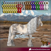 Horse Color:White Spotted Grullo  and White Spotted Silver Buckskin Pearl Rabicano 