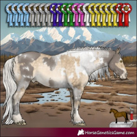 Horse Color:White Spotted Grullo  and White Spotted Silver Buckskin Pearl Rabicano 