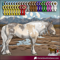 Horse Color:White Spotted Grullo and White Spotted Silver Buckskin Pearl Rabicano