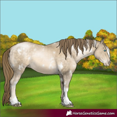 Horse Color:White Spotted Buckskin Pearl Tobiano 