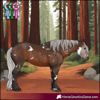 Horse Color:White Spotted Silver Brown