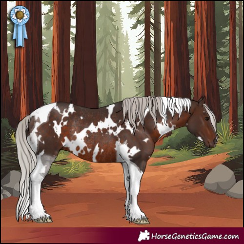 Horse Color:White Spotted Silver Brown Tobiano Rabicano 
