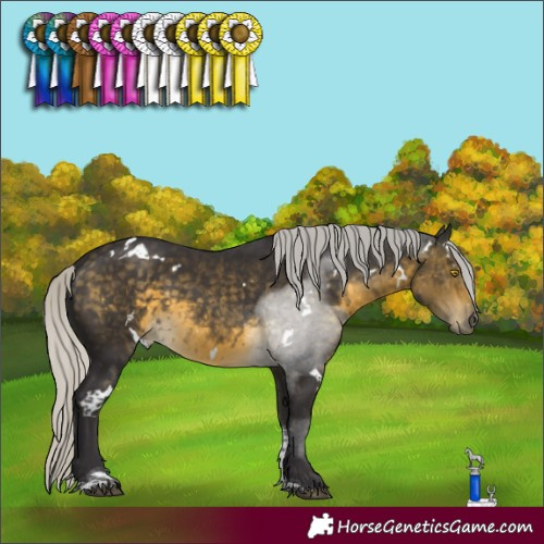 Horse Color:White Spotted Silver Buckskin Mushroom Tobiano 