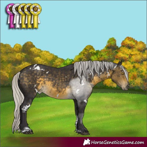 Horse Color:White Spotted Silver Buckskin Mushroom Tobiano 