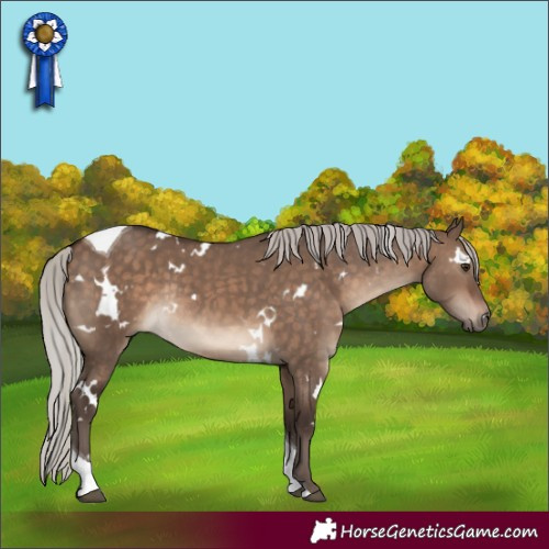 Horse Color:White Spotted Silver Brown Dun Tobiano Rabicano 
