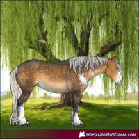 Horse Color:Silver Buckskin Sabino 