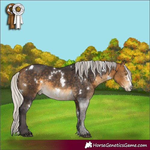 Horse Color:White Spotted Silver Buckskin Sabino 