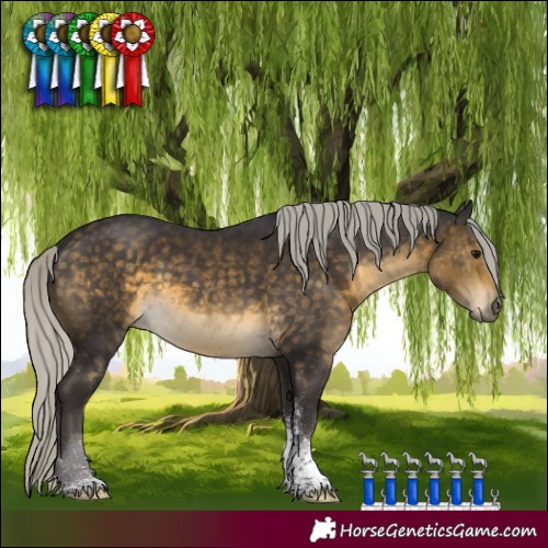 Horse Color:Silver Buckskin Sabino Tobiano 