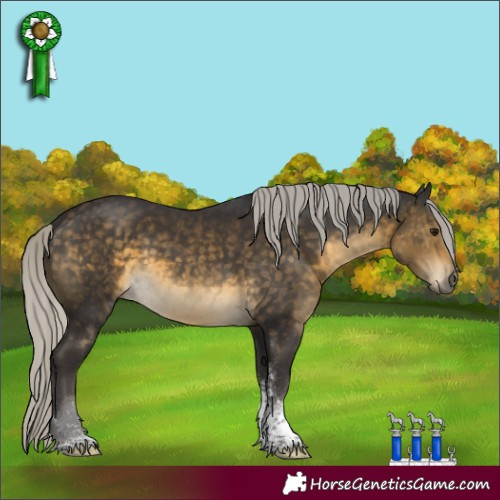 Horse Color:Silver Buckskin Sabino Tobiano 