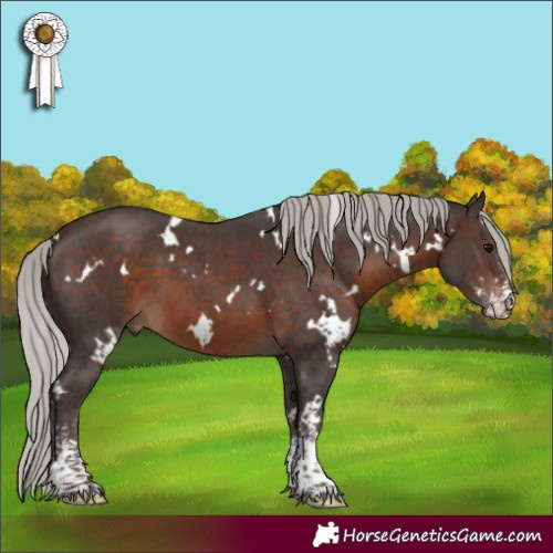 Horse Color:White Spotted Silver Brown Sabino 